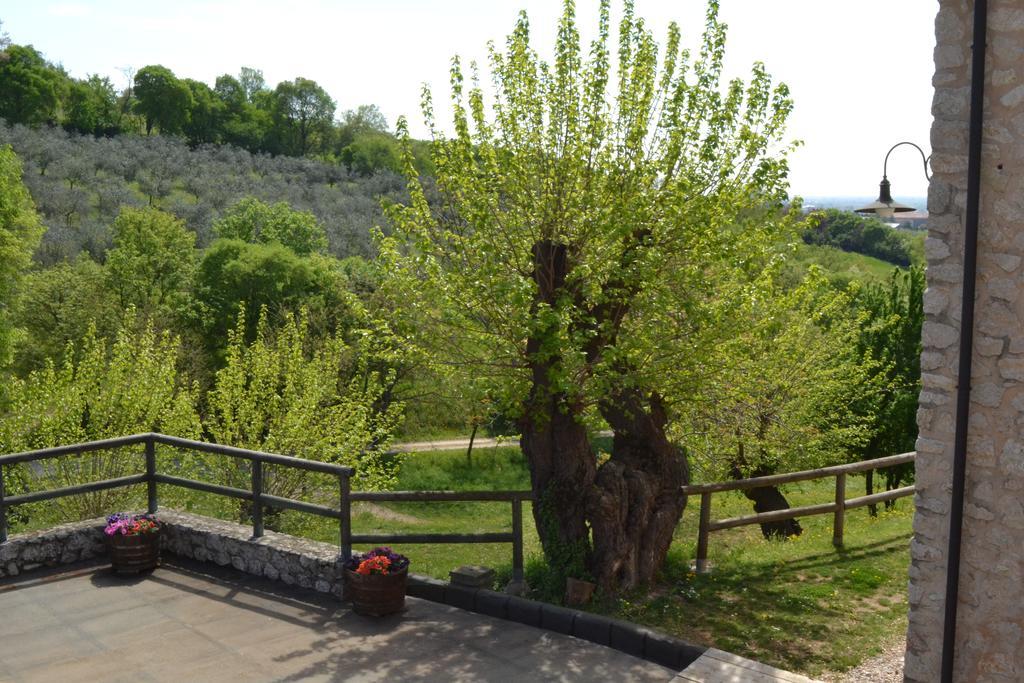 לינה וארוחת בוקר לוניגו Casale La Rocchetta מראה חיצוני תמונה